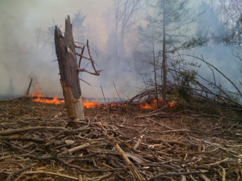 alternate description