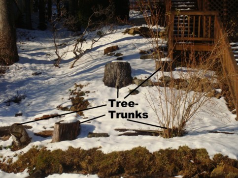 South side of Bradford Noble residence on Sandy Beach Road